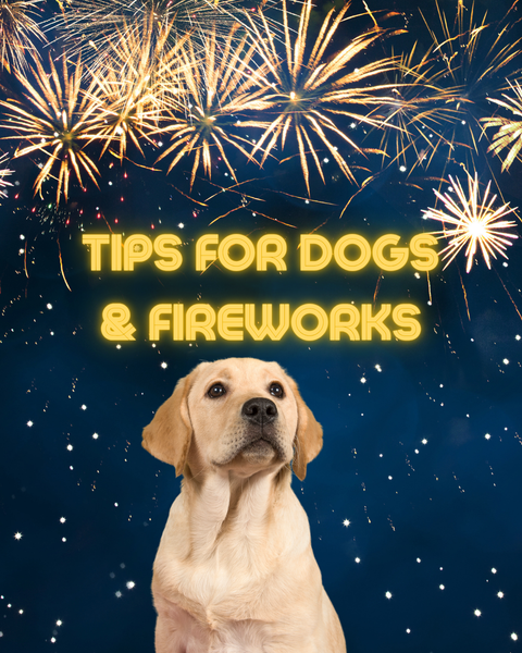 Tips for dogs & fireworks