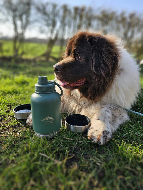 Fido's Trails 3-in-1 Water Bottle 1 Litre For Dogs & Owners