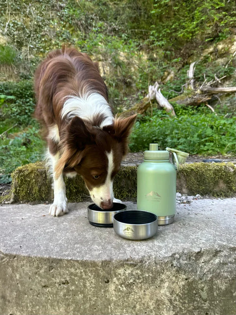 Fido's Trails 3-in-1 Water Bottle 1 Litre For Dogs & Owners