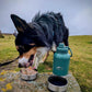Fido's Trails 3-in-1 Water Bottle 1 Litre For Dogs & Owners
