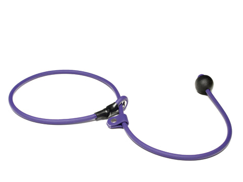 Mystique® Biothane Heeling Collar with Easy Grip Toggle
