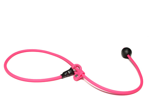 Mystique® Biothane Heeling Collar with Easy Grip Toggle