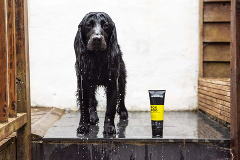 Animology Shampoo