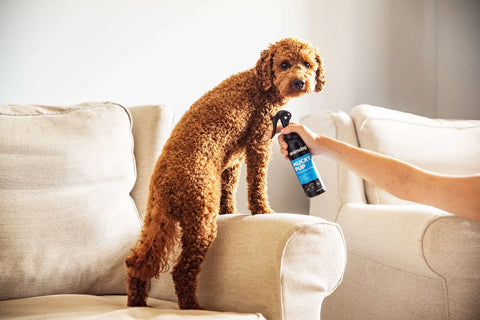 Animology Spray's
