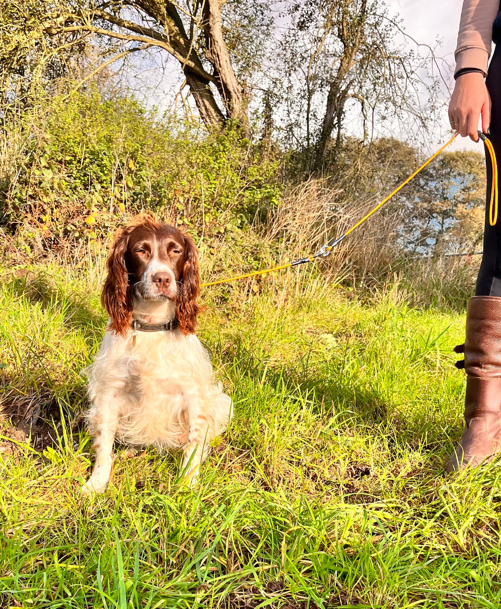 German Field Gun Dog Lead 4mm Muntjac Trading