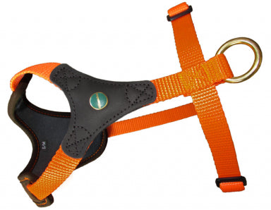 Niggeloh Follow Start Harness