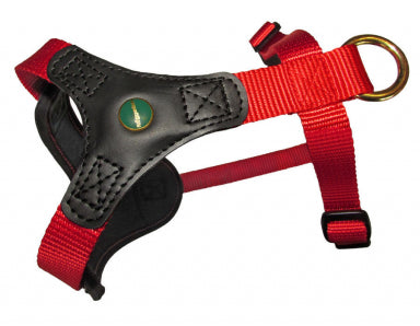 Niggeloh Follow Start Harness