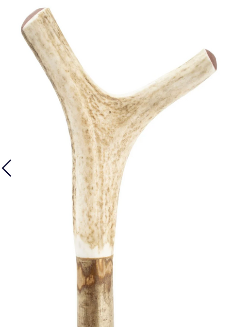 Horn Tipped Walking Stick