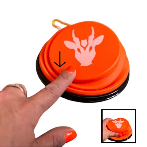 hand pushing down showing the collapsible bowl