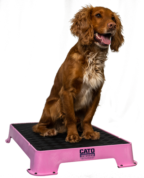 Cato Place Boards (Rubber)