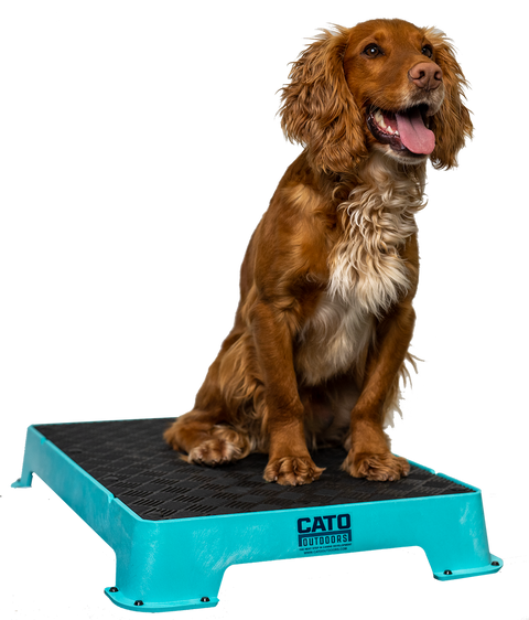 Cato Place Boards (Rubber)
