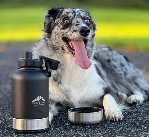Fido's Trails 3-in-1 Water Bottle 1 Litre For Dogs & Owners