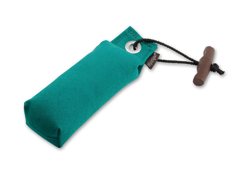 turquoise canvas pocket dog dummy