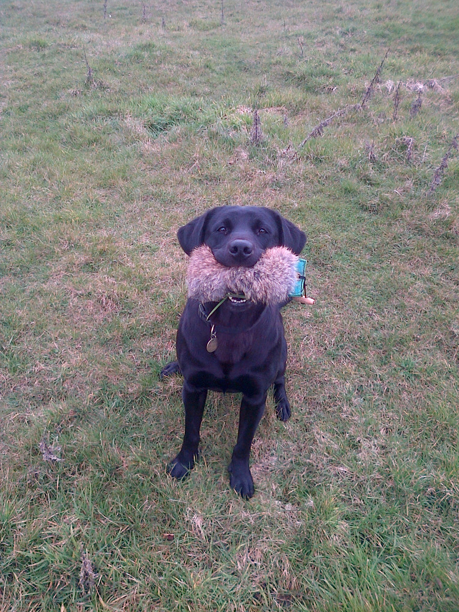 Gun Dog Dummy (Half Fur Half Canvas) Muntjac Trading