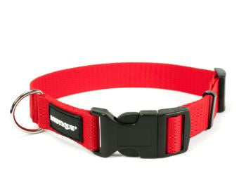 Mystique Basic Nylon Collar