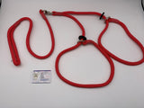 red braided dog lead for 2 dogs