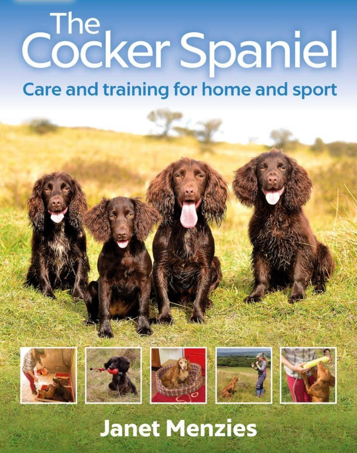 The Cocker Spaniel by Janet Menzies – Muntjac Trading