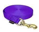 purple nylon tracking leash