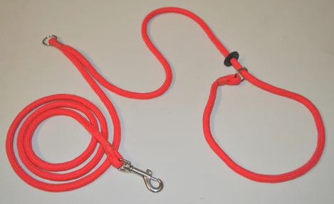 dog slip lead 