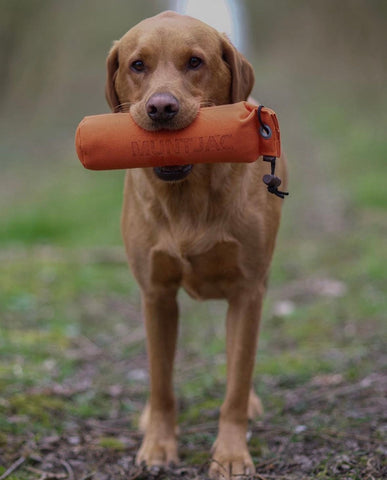 Gundog Dummies