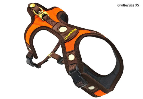 Dog harness with orange and brown design on a white background