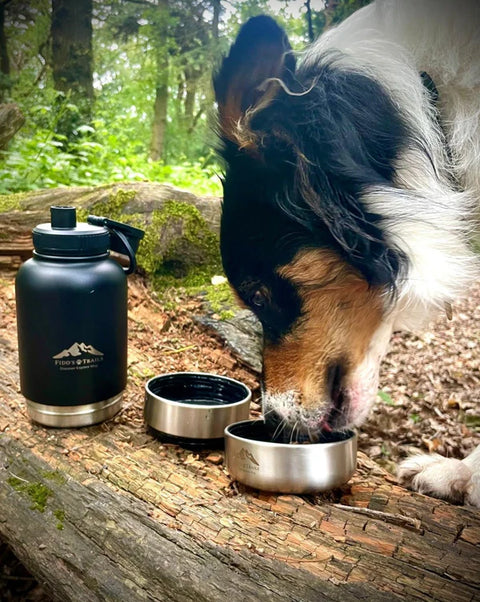 Fido's Trails 3-in-1 Water Bottle 1 Litre For Dogs & Owners