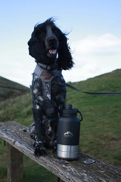 Fido's Trails 3-in-1 Water Bottle 1 Litre For Dogs & Owners