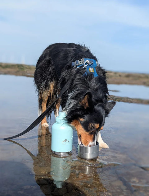 Fido's Trails 3-in-1 Water Bottle 1 Litre For Dogs & Owners
