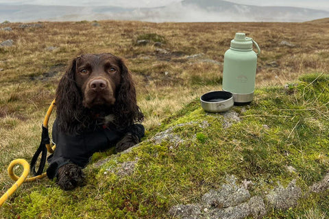 Fido's Trails 3-in-1 Water Bottle 1 Litre For Dogs & Owners