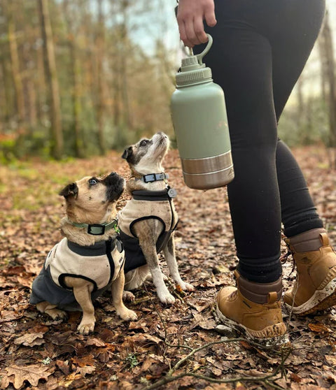 Fido's Trails 3-in-1 Water Bottle 1 Litre For Dogs & Owners