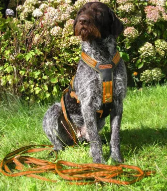 Niggeloh Follow Dog Tracking Harness