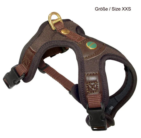 Brown dog harness with gold hardware on a white background
