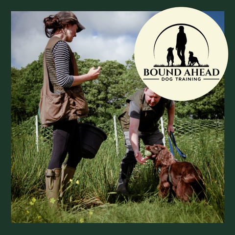 Young Handler Training Session Ticket
