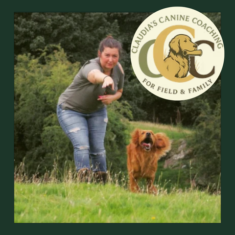Young Handler Training Session Ticket