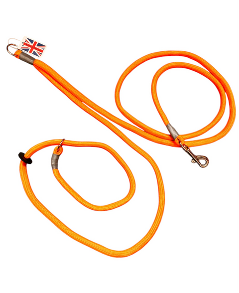 Hands-Free Training Dog Slip Leads (Jaeger)