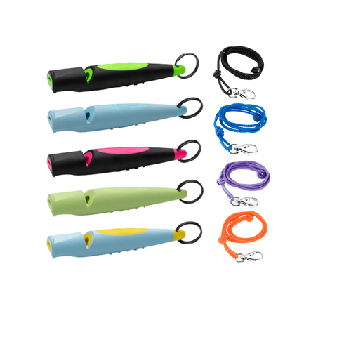 Set of colorful whistles and leashes on a white background