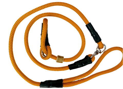 Mystique 8mm Swivel German Field Trial Lead