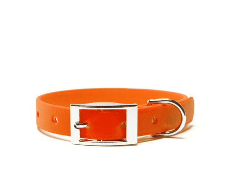 A deluxe neon orange gun dog collar