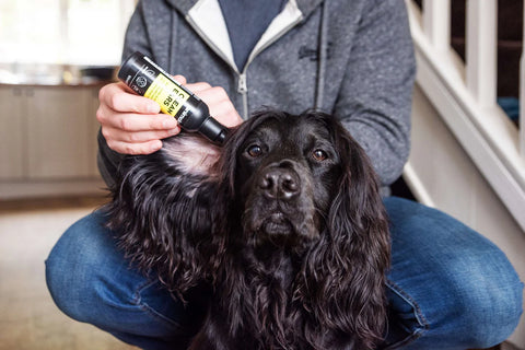 OUR NEW ANIMOLOGY PRODUCTS