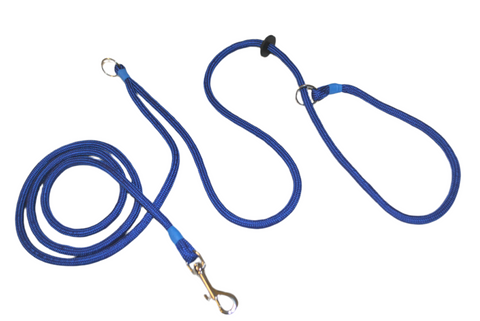 Hands-Free Training Dog Slip Leads (Jaeger)
