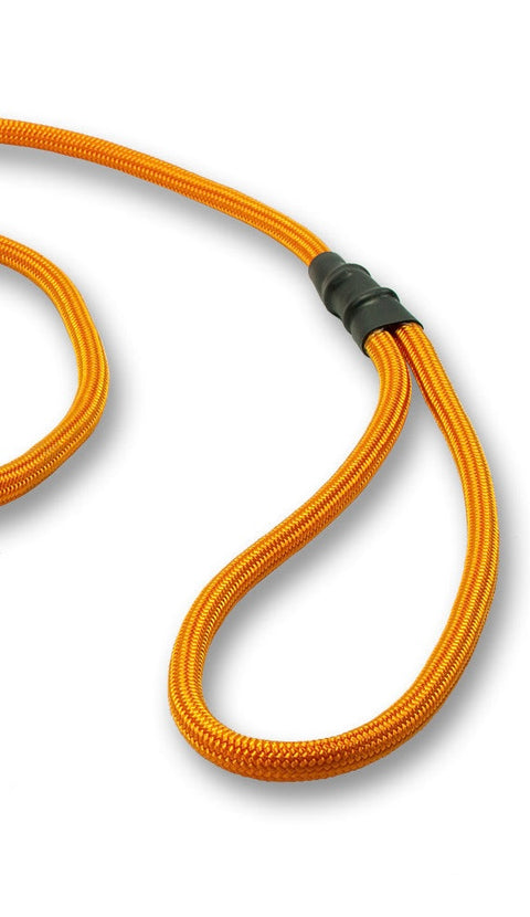 Mystique® 6mm Clip German Field Trial Lead
