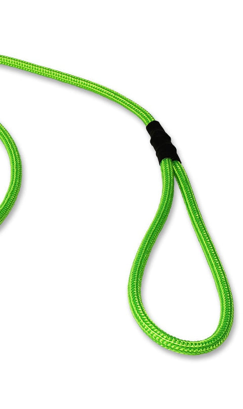 Mystique® 6mm Clip German Field Trial Lead