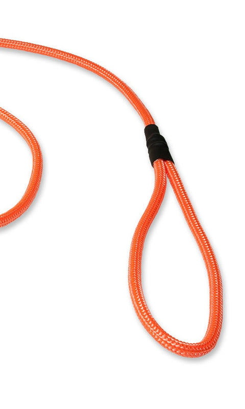 Mystique® 6mm Clip German Field Trial Lead