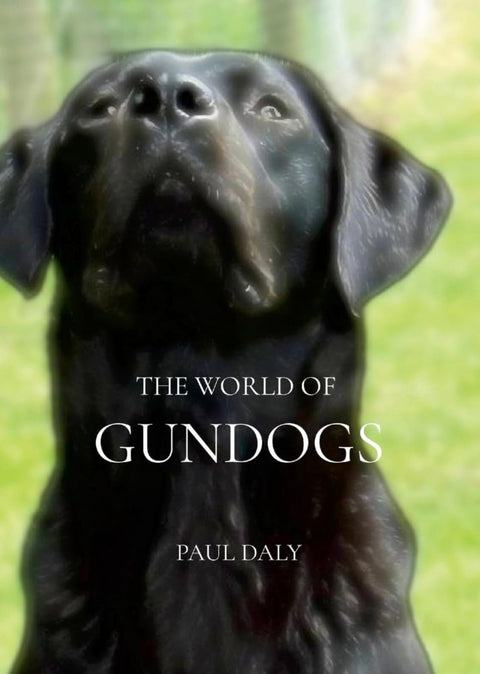 The World of Gundogs - Paul Daly