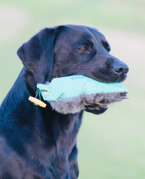 Muntjac® Half Fur Half Canvas Gundog Dummy