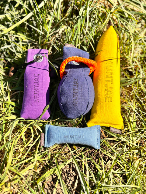 Mystique Puppy Dummy Bundle (Small Breed & Large Breed)