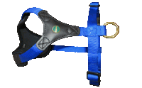 Niggeloh Follow Start Harness