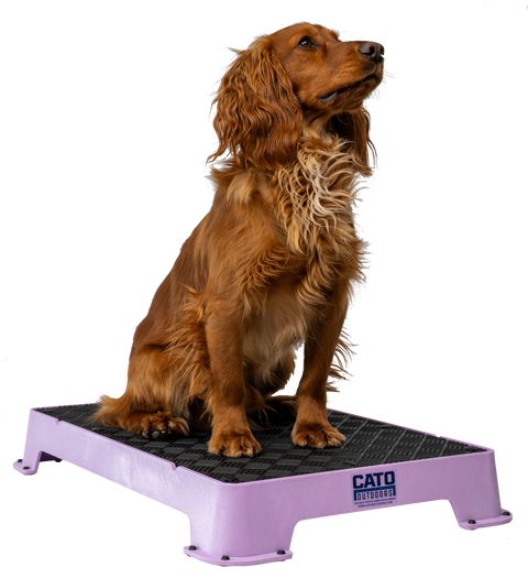 Cato Place Boards (Rubber)