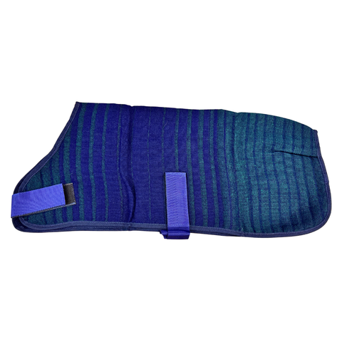 Blue and green striped dog coat on a white background