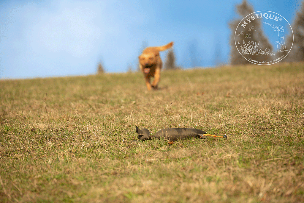 Mystique Rabbit Dog Dummy Muntjac Trading
